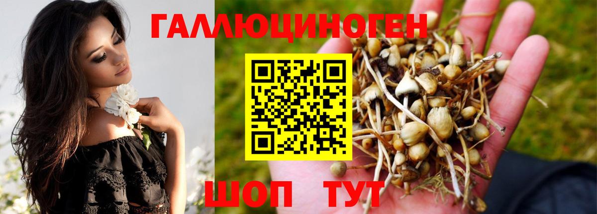 Горячий Ключ  Галлюциногенные грибы Cubensis  Псилоцибиновые грибы Magic Shrooms  Вход с VPN 